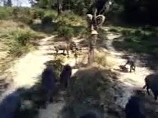 Foi mexer com  quem ta quieto !!!!