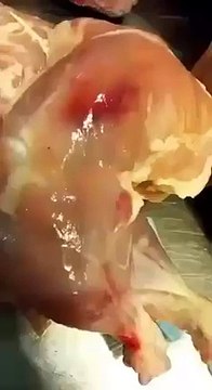 Zenith Meat Sealed in Lahore For Selling Worst Chicken