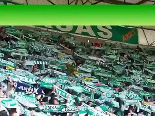Bursaspor Taraftarı TeXaS