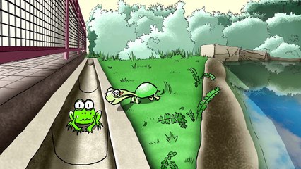 放生龜的三種後果 Three results for released turtle