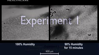 Comparison of mucus clearance at 100% and 90% humidity