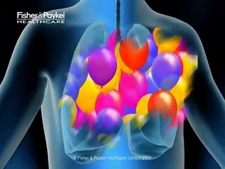 Introduction to Mucociliary Transport Video Microscopy