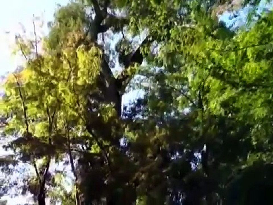 金閣寺 Golden Pavilion Temple Makeup japanese,eye,face TRY Watch