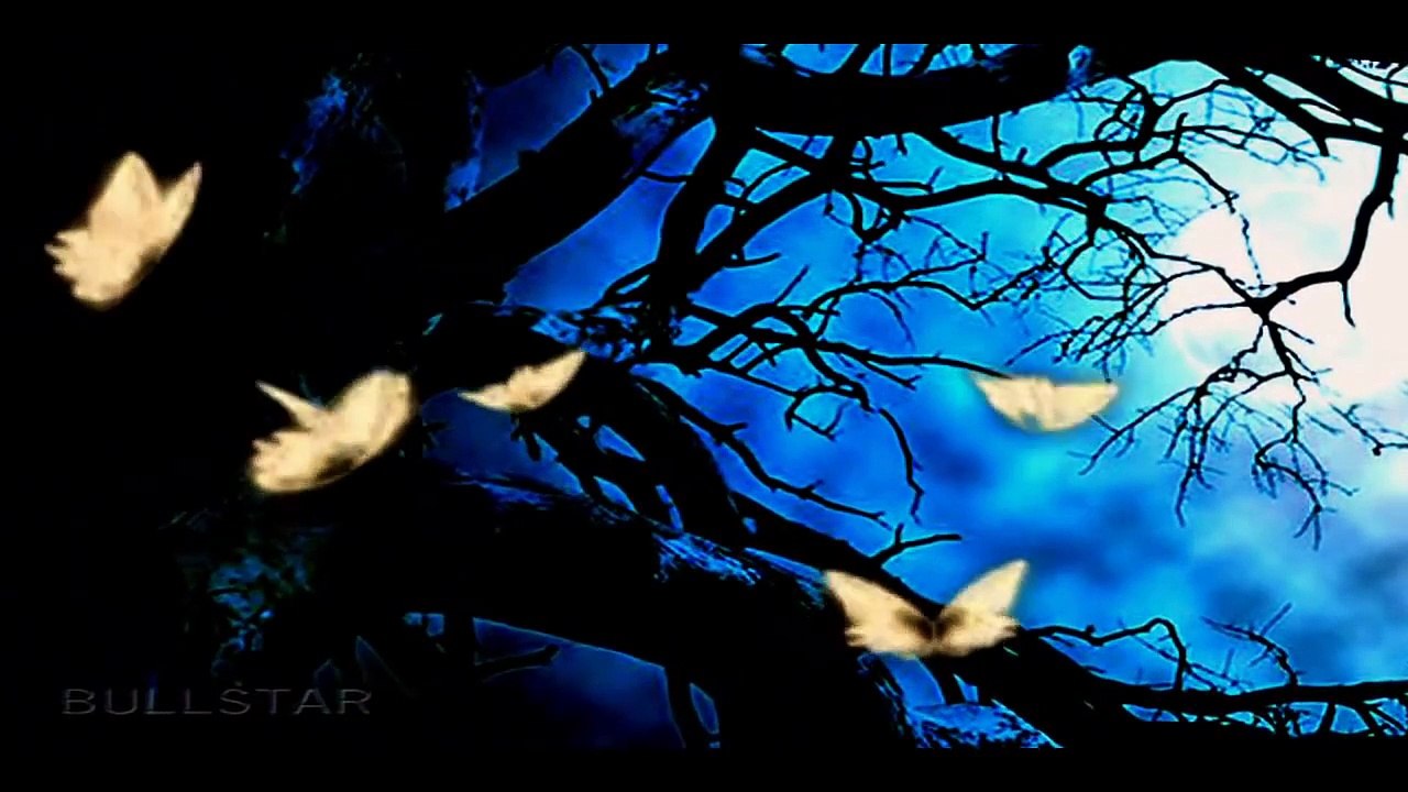 Tim Janis:  For You Alone -- Egyedül Neked  ( HD - Qality )