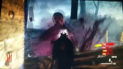 COD WAW zombies