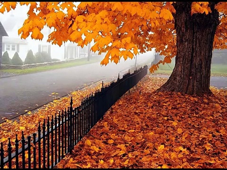 Quien tuviera la dicha - Cancion para mamá - Día de la madre