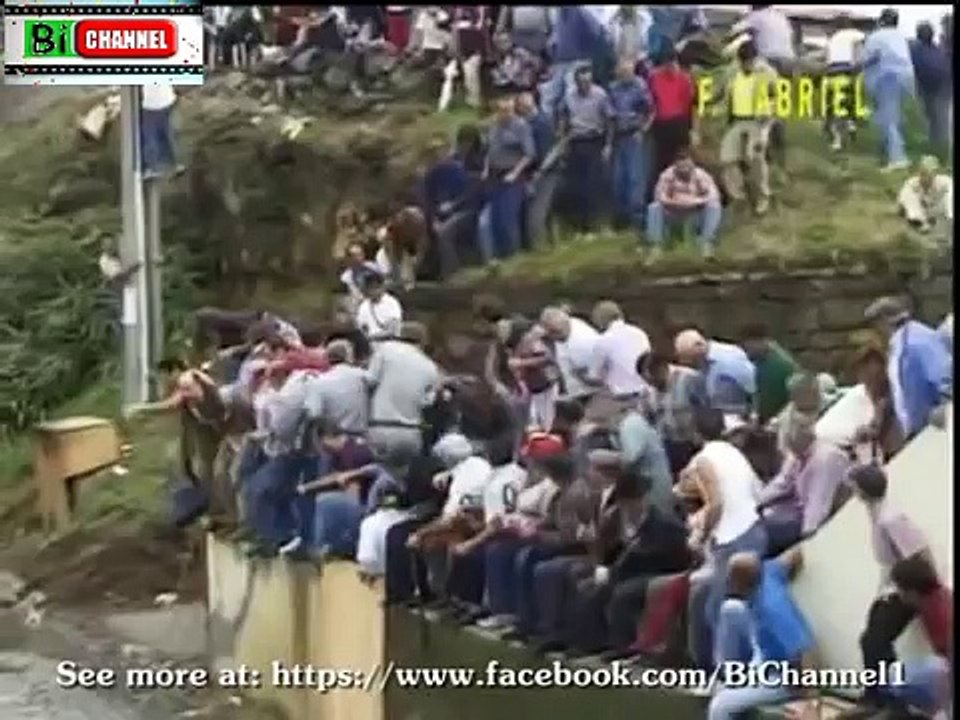 Best Funny BullFighting Festival (P1) [Full Episode]