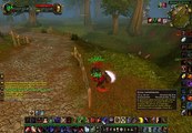 Wow Warrior vs rogue pvp duel 80 lich king pvp