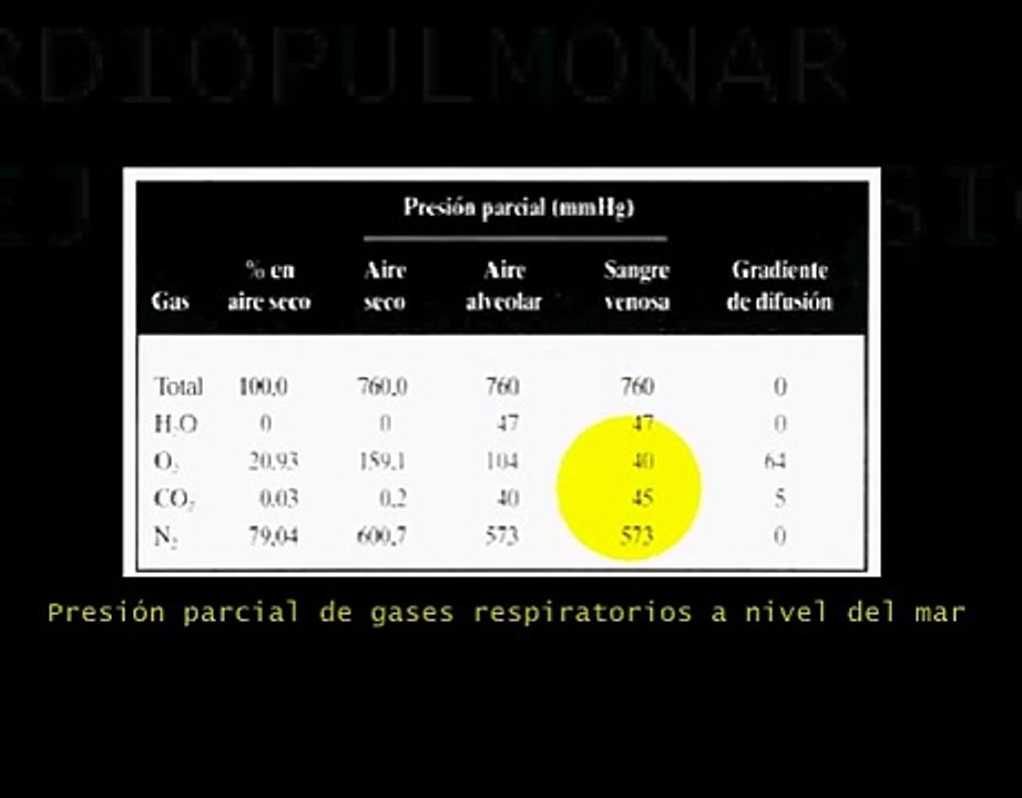 FISIOLOGIA CARDIOPULMONAR Y EJERCICIO 7