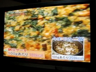 犬のダイエット作戦 no3 鉄腕!DASH!!