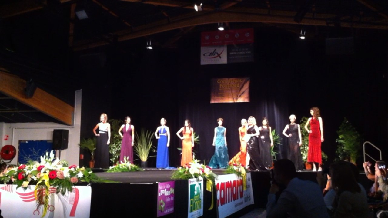 Élections Miss Manche 2015