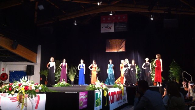 Élections Miss Manche 2015