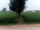 Amazing Tractor Driver in Pakistan