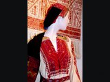 Traditional Palestinian Clothing - Threads of Pride!