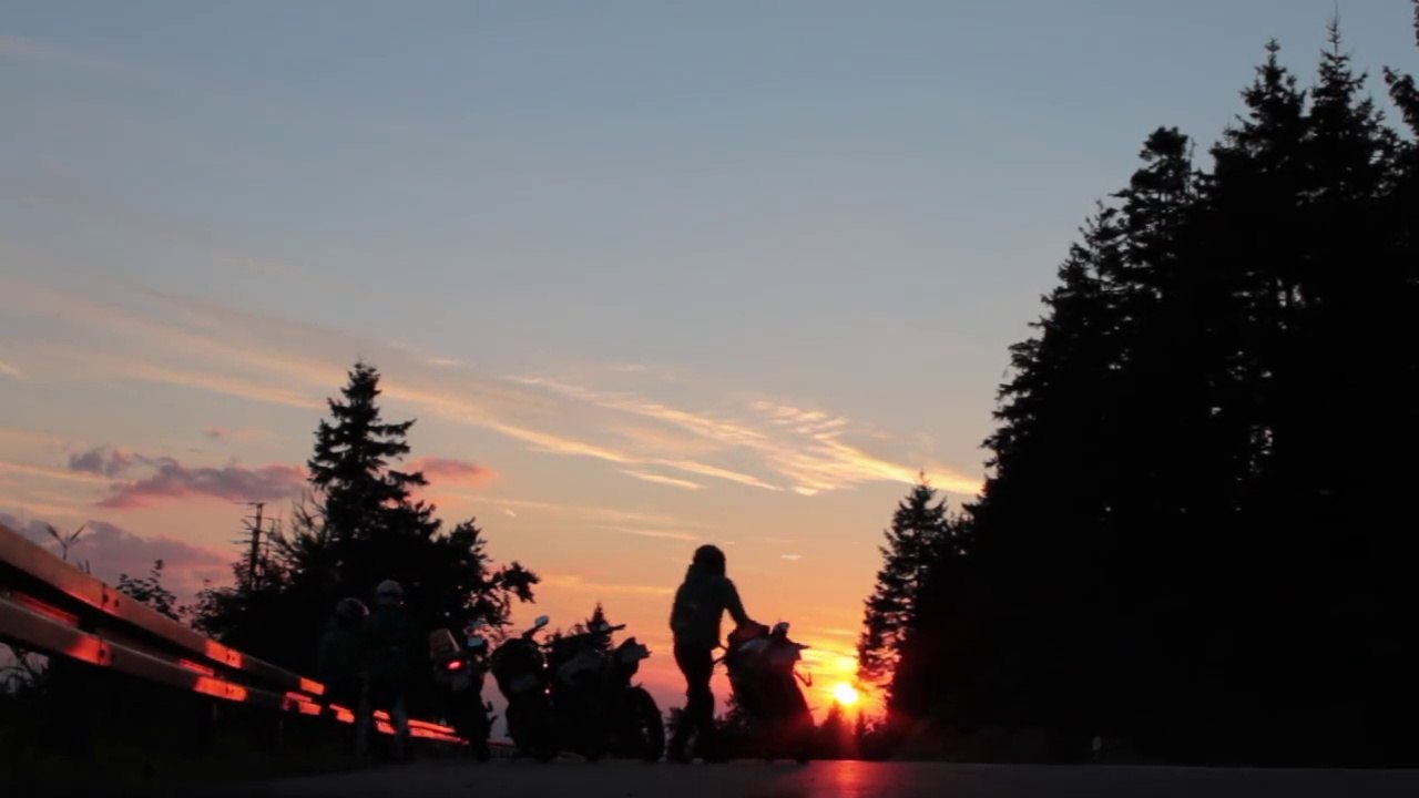 Out of the dark - blackforest monkeys