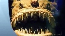 poissons abyssaux des profondeurs de tous les océans du monde [Full Episode]