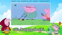 Świnka Peppa Wysoka trawa bajki dla dzieci po polsku