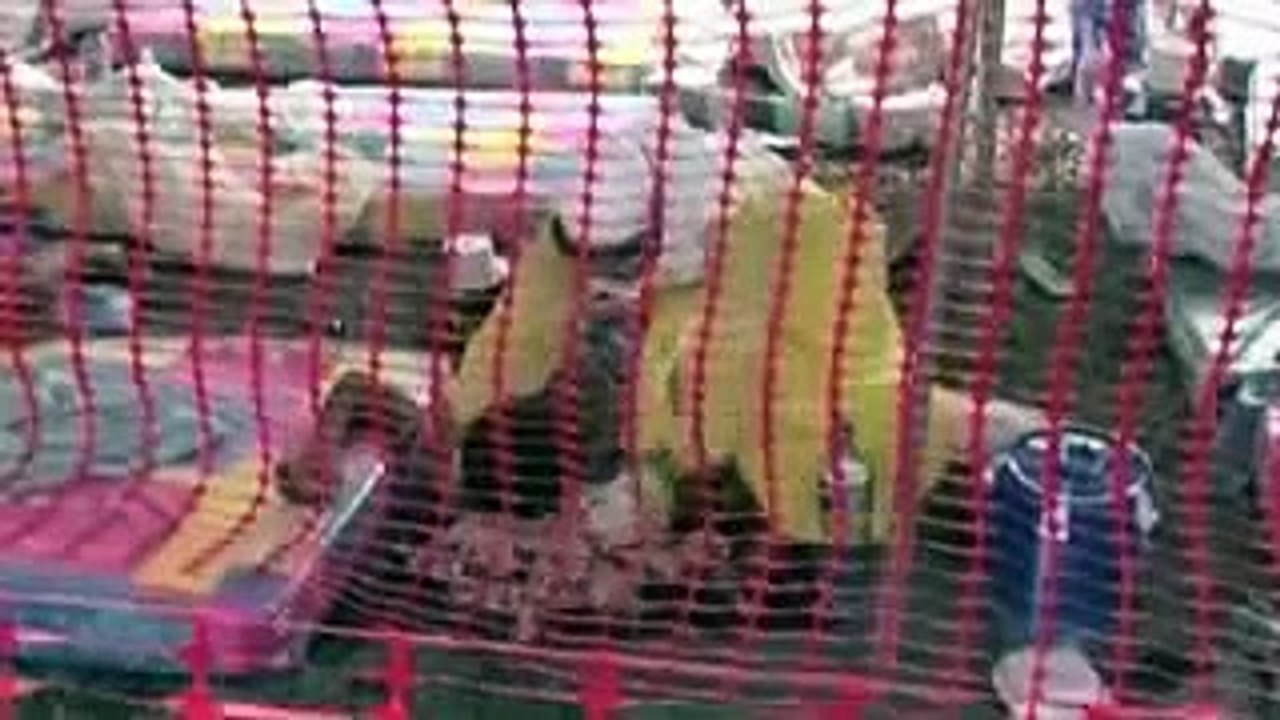 End Times News Update Ebola patient in Britain transferred to London