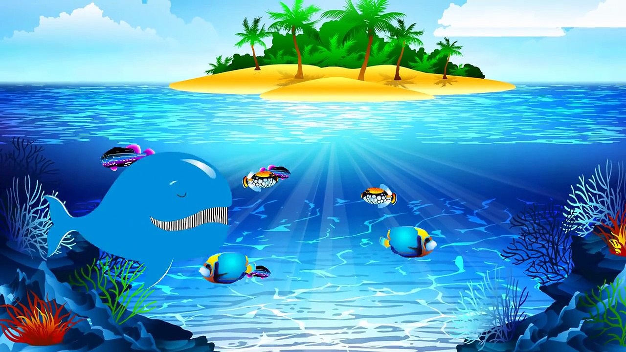 C'est la baleine