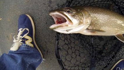Trophy Maine Lake Trout Fishing