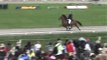 Icelandic Horses Competing at Fast Tolt