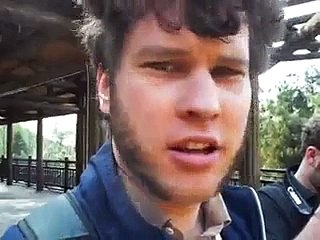 Two Lions Fight Over Live Chicken At Zoo