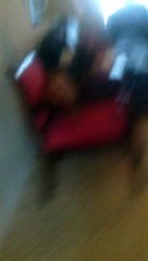 My Dog With The Vacuum Cleaner