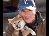 Hachiko a Dog's Story-It's So Hard to Say Goodbye to Yesterday