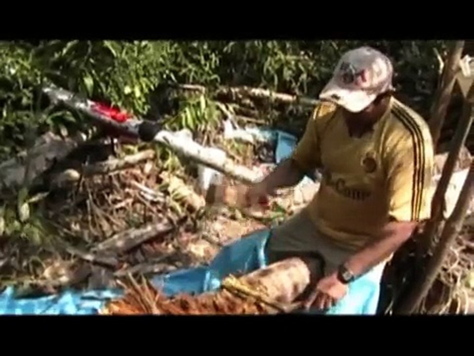 Preparación del brevaje Ayahuasca