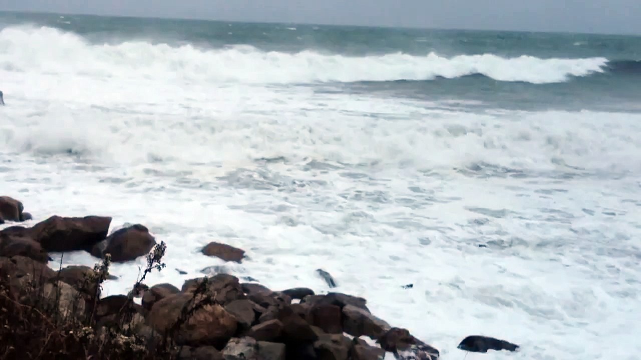 Good Harbor Beach #3