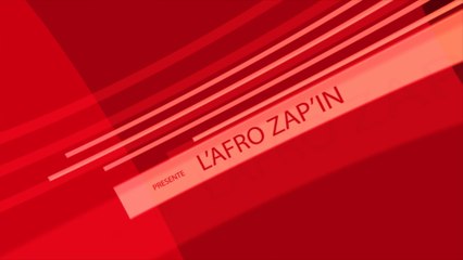 Afro Zapin (2015) Vol 3 (Spécial Film Américain de Deauville)