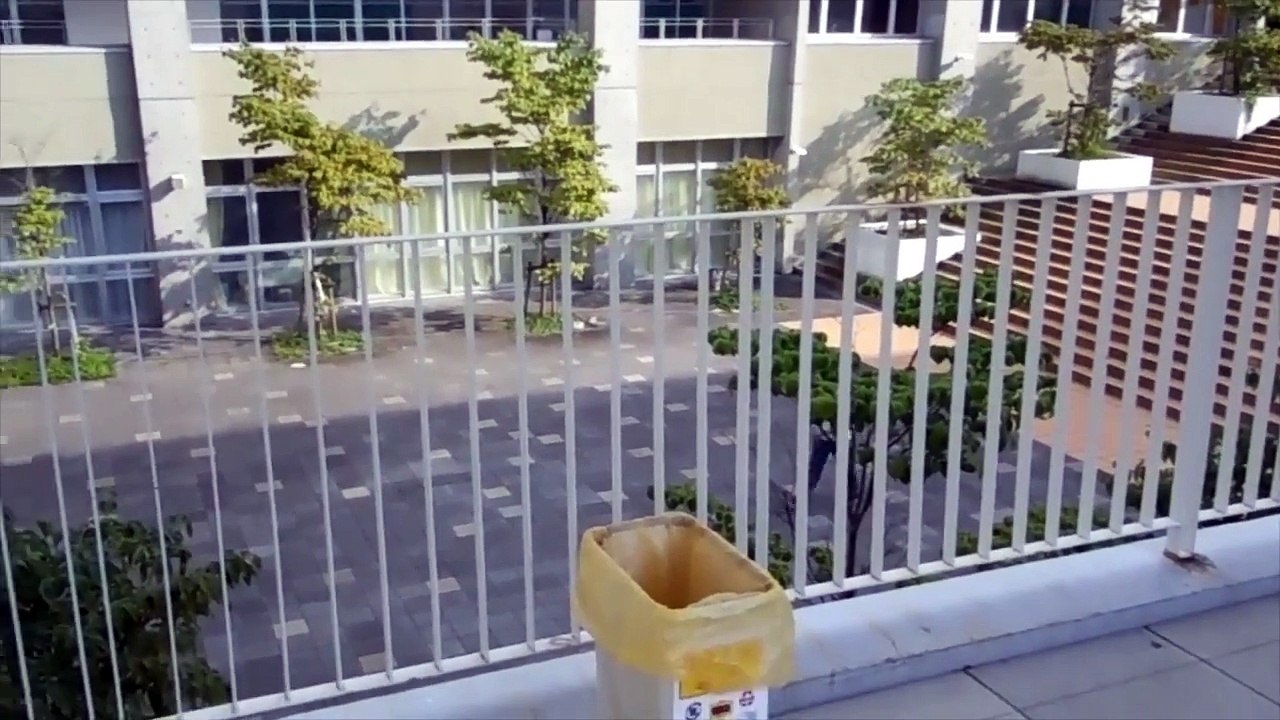 仮