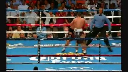 Floyd Mayweather vs Andrea Berto full fight