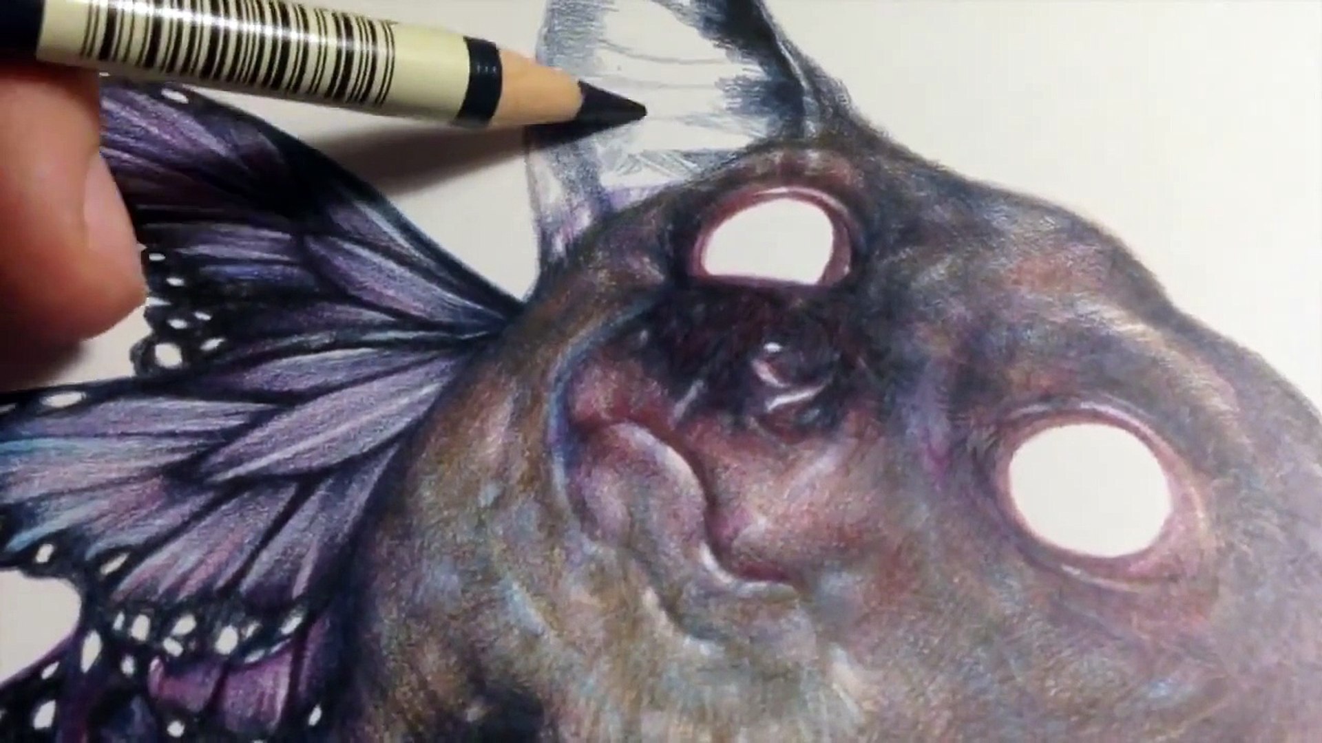 Marco Mazzoni: How to draw a Lemur with colored pencils on moleskine