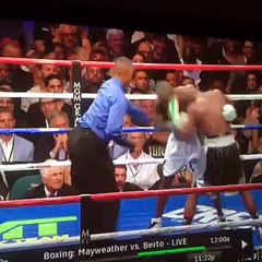 SPICEADAMS Somebody screamed out "What are thooooose!!" to Mayweather!!