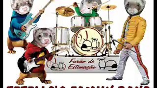 Ferrets Rock Band
