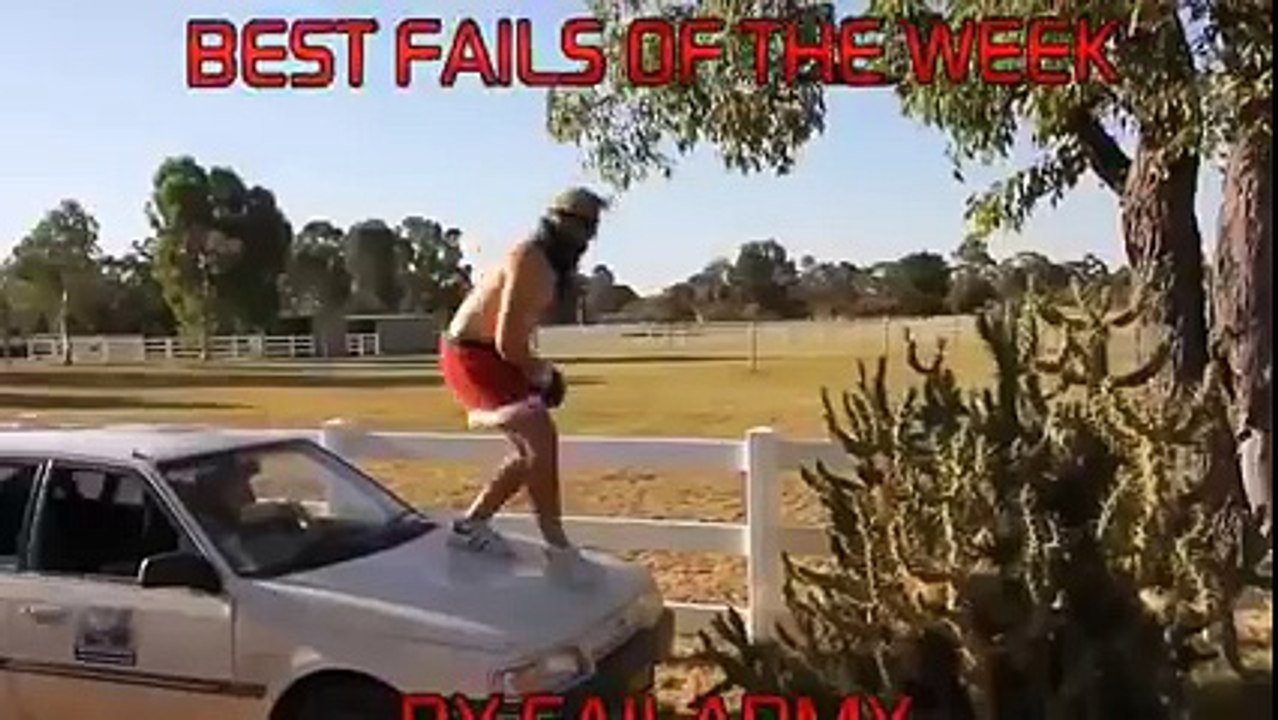 Man jumps into cactus bush what happens next is horrible
