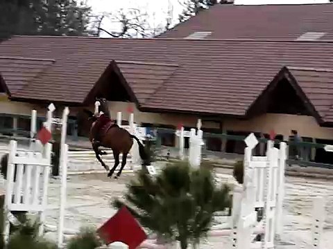 Concours de saut d'obstacles (CSO)