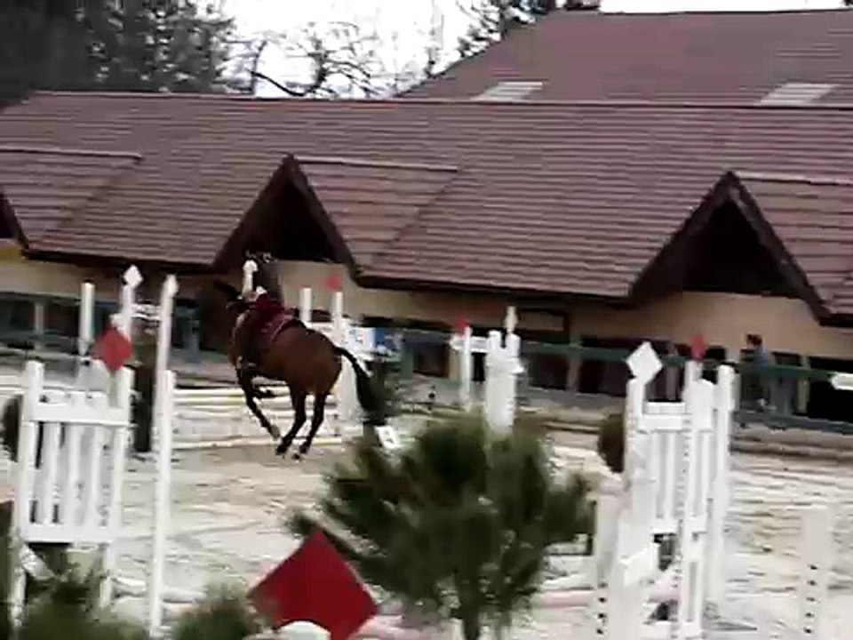 Concours de saut d'obstacles (CSO)