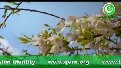 Surah Al Fatiha [Muslim Identity Channel Opening]