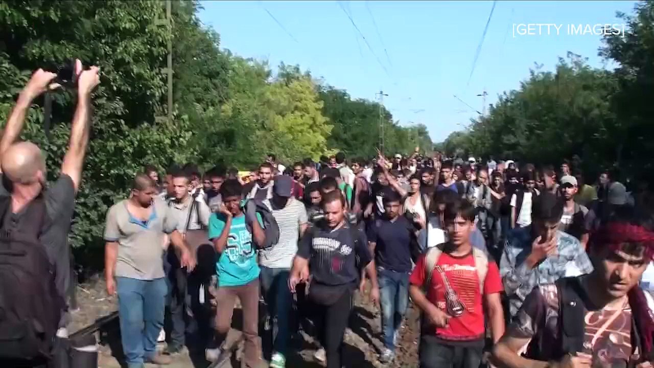 Quelques informations sur les migrants