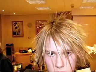 Mitchypoo becoming a model