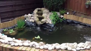 My new pond summer 2012