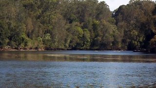 wilderness Karuah river adventure, fishing camping in my old boat Part 43