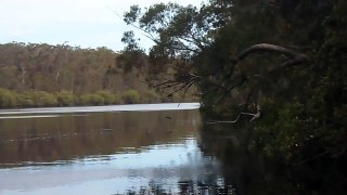 wilderness Karuah river adventure, fishing camping in my old boat Part 9