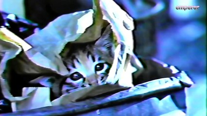 AC 公共広告機構　ＣＭ