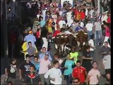 “En Fuenlabrada seguirá habiendo festejos taurinos, respetando la tradición”, según Robles