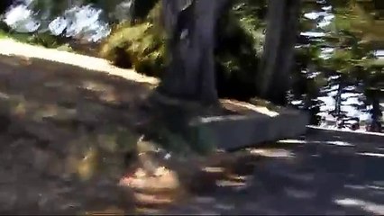 San Francisco, Golden Gate, Sausalito 5