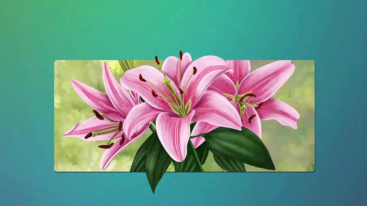 Aika the Akita Speed Painting [Adobe Photoshop]