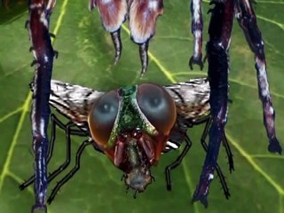 GHOSTS caught creating REINCARNATION CARNAGE!